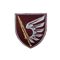 PATCH - 79. Air Assault Brigade Ukraine (med velcro bagside)